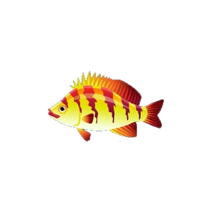 Electric Yellow Fish